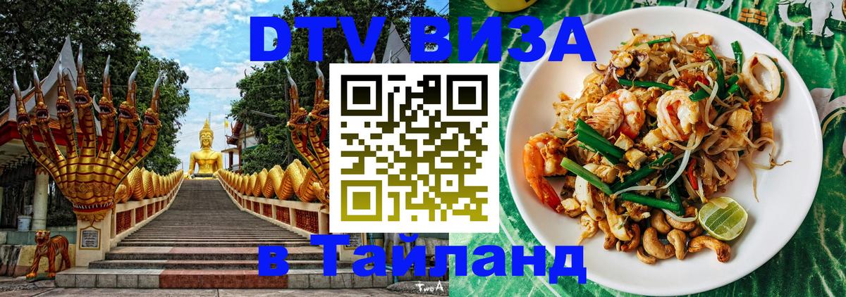 Сколько стоит DTV виза — актуальные цены, оформление даже без документов - 06.12.2025 